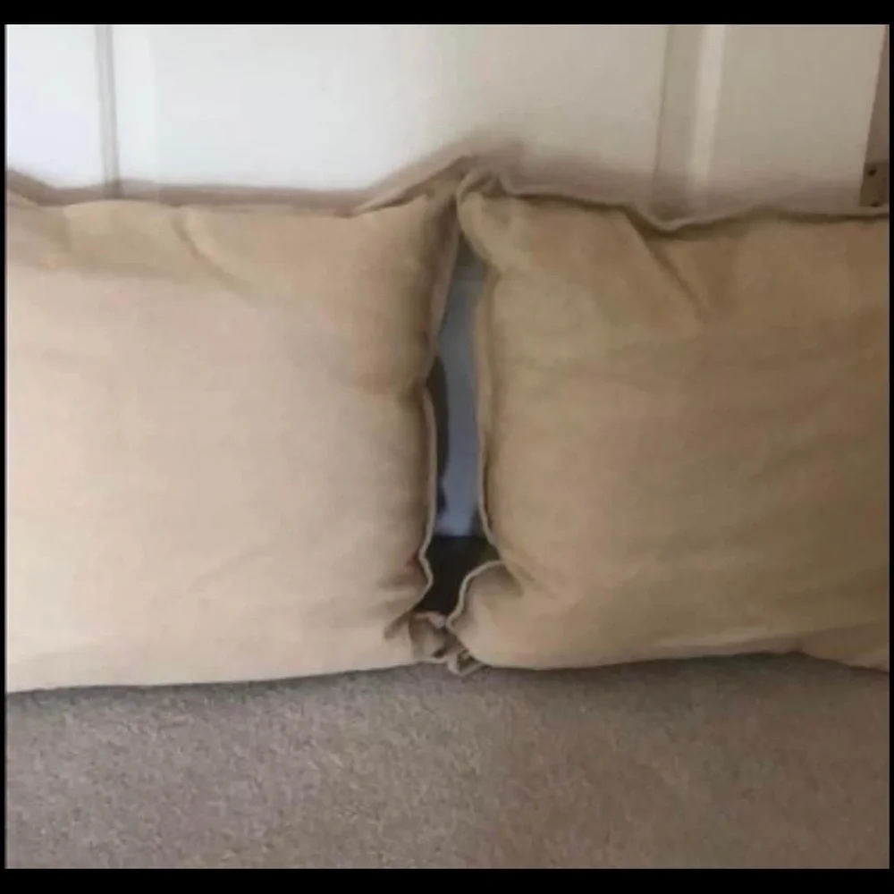NWT pair of Crate & Barrel pillows